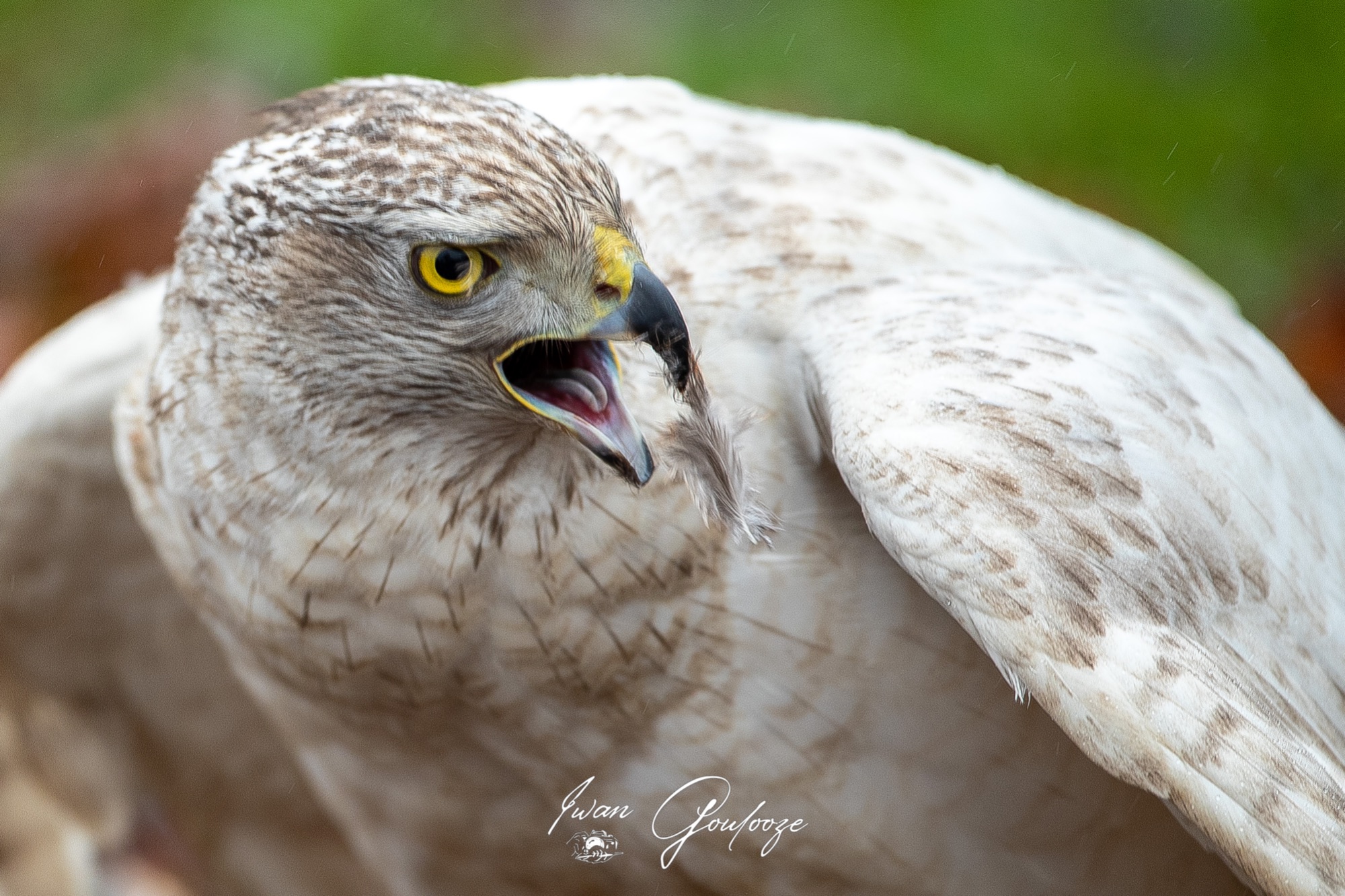 1DX45906 12 december 2021 1201 49